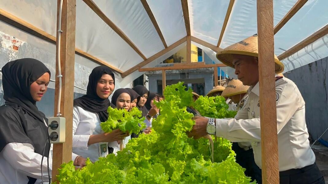 Panen 35 Ikat Sayuran Hidroponik, Lapas Bandanaira Perkuat Program Ketahanan Pangan Panen 35 Ikat Sayuran Hidroponik, Lapas Bandanaira Perkuat Program Ketahanan Pangan