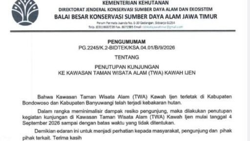 Karhutla Merapi Ungup-Ungup Membara, Kawah Ijen Ditutup Total Mulai 4 September Karhutla Merapi Ungup-Ungup Membara, Kawah Ijen Ditutup Total Mulai 4 September